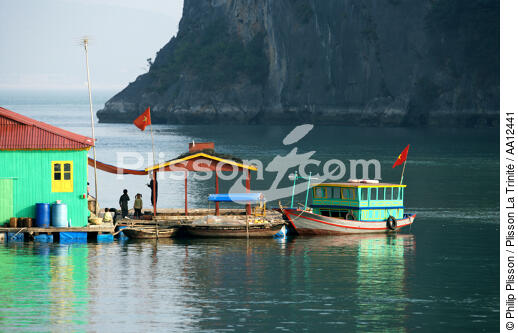 Dwelling in Along Bay. - © Philip Plisson / Plisson La Trinité / AA12441 - Photo Galleries - Site of interest [Vietnam]