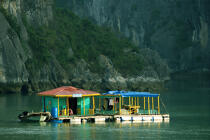 Dwelling in Along Bay. © Philip Plisson / Plisson La Trinité / AA12442 - Photo Galleries - Site of interest [Vietnam]