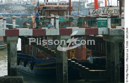 Pont dans le port d'Along. - © Philip Plisson / Plisson La Trinité / AA12444 - Nos reportages photos - Ville [Vietnam]