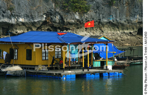 Habitation dans la baie d'Along. - © Philip Plisson / Plisson La Trinité / AA12450 - Nos reportages photos - Site [Vietnam]