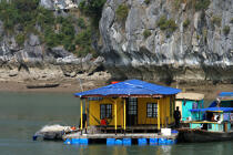 Dwelling in Along Bay. © Philip Plisson / Plisson La Trinité / AA12451 - Photo Galleries - Ha Long Bay