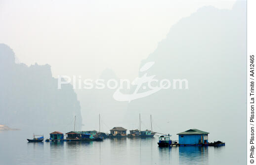 A village in the fog of Along Bay. - © Philip Plisson / Plisson La Trinité / AA12465 - Photo Galleries - Floating house