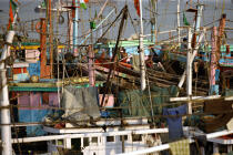 Bateaux de pêche dans le port de Bombay. © Philip Plisson / Plisson La Trinité / AA12509 - Nos reportages photos - Maharashtra