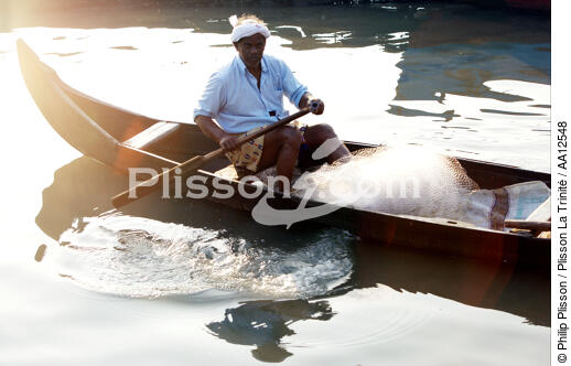 Pêcheur à Cochin. - © Philip Plisson / Plisson La Trinité / AA12548 - Nos reportages photos - La petite pêche au Kerala, Inde du sud