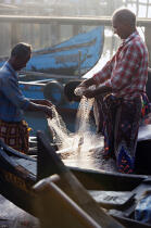 Pêcheurs à Cochin. © Philip Plisson / Plisson La Trinité / AA12550 - Nos reportages photos - Etats [Inde]