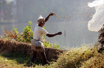 Fisherman in Cochin. © Philip Plisson / Plisson La Trinité / AA12572 - Photo Galleries - India