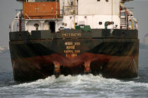 Cargo devant Cochin. © Philip Plisson / Plisson La Trinité / AA12610 - Nos reportages photos - Cargo