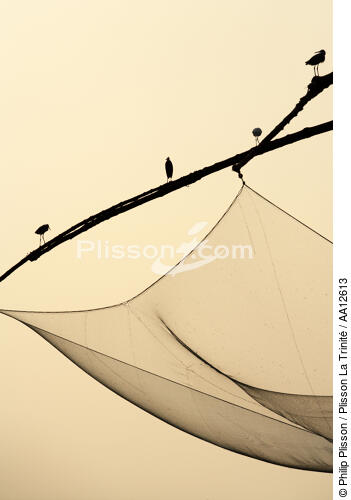Chinese nets devant Cochin. - © Philip Plisson / Plisson La Trinité / AA12613 - Nos reportages photos - Contre-jour