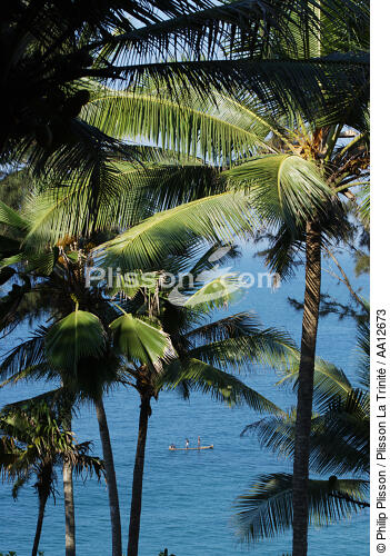 Palmiers sur la plage de Vilinjan. - © Philip Plisson / Plisson La Trinité / AA12673 - Nos reportages photos - Arbre
