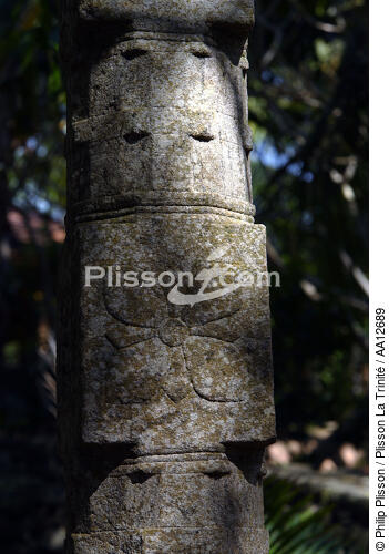 Statue in the garden of an hotel in Vilinjan. - © Philip Plisson / Plisson La Trinité / AA12689 - Photo Galleries - India