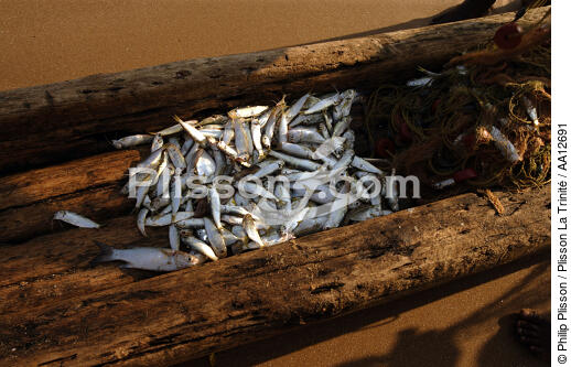 Retour de pêche à Vilinjan. - © Philip Plisson / Plisson La Trinité / AA12691 - Nos reportages photos - Ville [Kerala]
