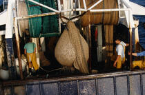 Chalutier en pêche. © Philip Plisson / Plisson La Trinité / AA12717 - Nos reportages photos - Materiel de pêche