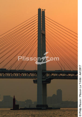 Baie de Tokyo - Pont de Yokohama - © Philip Plisson / Plisson La Trinité / AA12817 - Nos reportages photos - Ville [Japon]