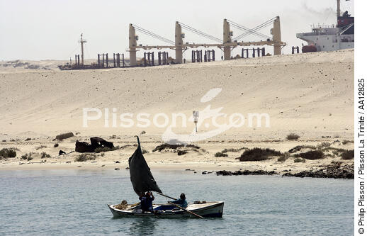 Sur le canal de Suez. - © Philip Plisson / Plisson La Trinité / AA12825 - Nos reportages photos - L'Egypte vue du ciel