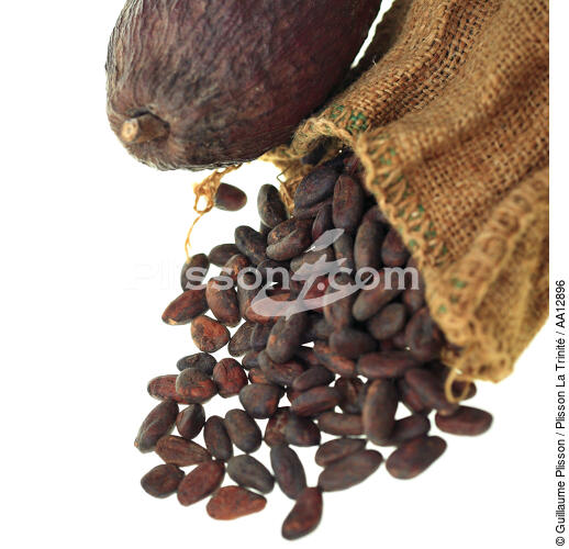 Coffee beans. - © Guillaume Plisson / Plisson La Trinité / AA12896 - Photo Galleries - Coffee bean