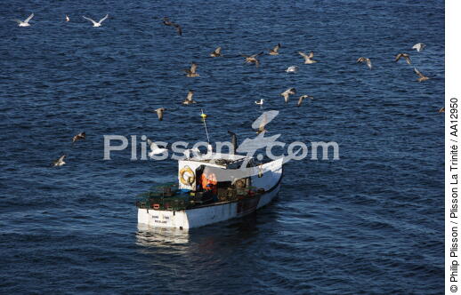Fishing vessel in Maine. - © Philip Plisson / Plisson La Trinité / AA12950 - Photo Galleries - Seagull