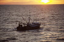 Fishing vessel in Maine. © Philip Plisson / Plisson La Trinité / AA12954 - Photo Galleries - New England