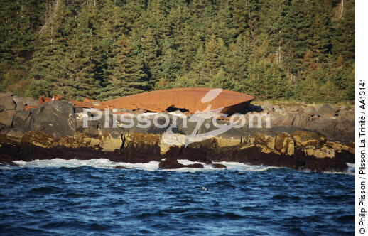 Monhegan island dans le Maine. - © Philip Plisson / Plisson La Trinité / AA13141 - Nos reportages photos - Rocher