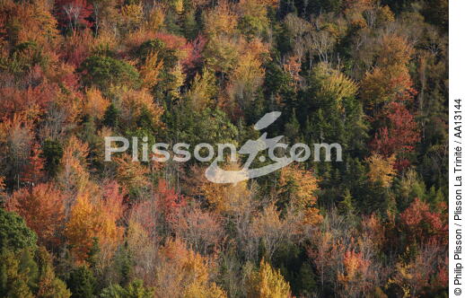Autumn in Maine. - © Philip Plisson / Plisson La Trinité / AA13144 - Photo Galleries - Maine