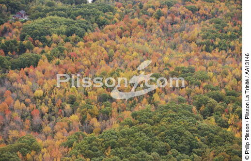 Autumn in Maine. - © Philip Plisson / Plisson La Trinité / AA13146 - Photo Galleries - Forest