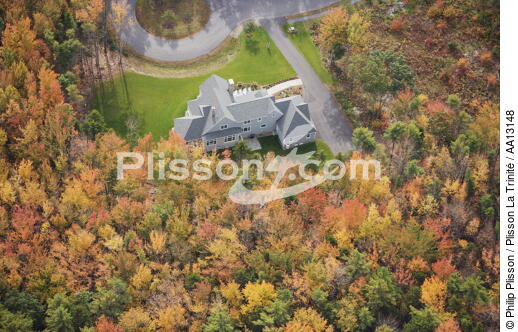 Autumn in Maine. - © Philip Plisson / Plisson La Trinité / AA13148 - Photo Galleries - Forest