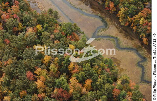 Autumn in Maine. - © Philip Plisson / Plisson La Trinité / AA13149 - Photo Galleries - Forest
