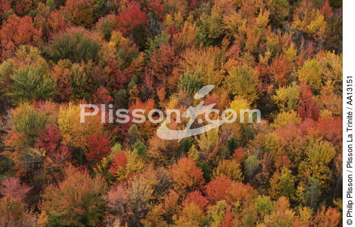 Autumn in Maine. - © Philip Plisson / Plisson La Trinité / AA13151 - Photo Galleries - Interior landscape