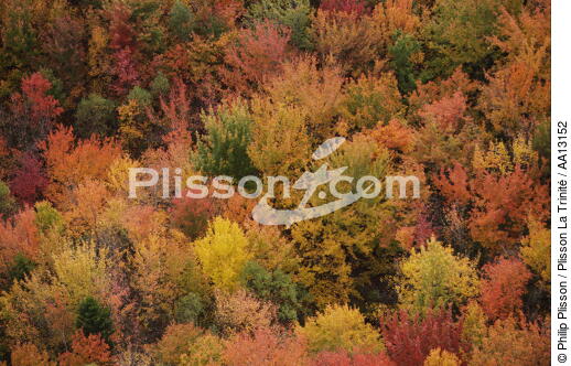 Autumn in Maine. - © Philip Plisson / Plisson La Trinité / AA13152 - Photo Galleries - Maine
