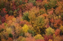 Autumn in Maine. © Philip Plisson / Plisson La Trinité / AA13152 - Photo Galleries - New England