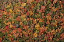 Autumn in Maine. © Philip Plisson / Plisson La Trinité / AA13153 - Photo Galleries - Autumn Colors in New England