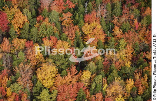 Autumn in Maine. - © Philip Plisson / Plisson La Trinité / AA13154 - Photo Galleries - Interior landscape