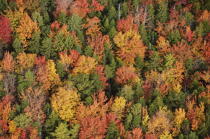 Autumn in Maine. © Philip Plisson / Plisson La Trinité / AA13154 - Photo Galleries - New England