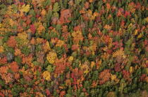 Autumn in Maine. © Philip Plisson / Plisson La Trinité / AA13155 - Photo Galleries - New England