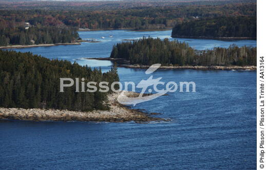 Seascape in Maine. - © Philip Plisson / Plisson La Trinité / AA13164 - Photo Galleries - Tree