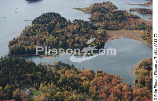 Seascape in Maine. - © Philip Plisson / Plisson La Trinité / AA13170 - Photo Galleries - Forest
