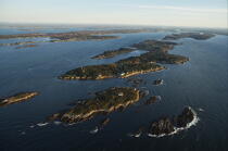 Seascape in Maine. © Philip Plisson / Plisson La Trinité / AA13205 - Photo Galleries - Forest