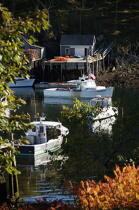 New Harbor dans le Maine. © Philip Plisson / Plisson La Trinité / AA13248 - Nos reportages photos - Mouillage