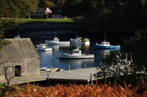 New Harbor dans le Maine. © Philip Plisson / Plisson La Trinité / AA13250 - Nos reportages photos - New Harbor
