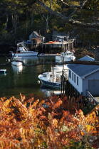 New Harbor dans le Maine. © Philip Plisson / Plisson La Trinité / AA13252 - Nos reportages photos - New Harbor