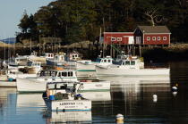 New Harbor dans le Maine. © Philip Plisson / Plisson La Trinité / AA13266 - Nos reportages photos - New Harbor