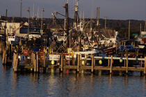 Point Judith Harbour dans l'état du Rhode Island. © Philip Plisson / Plisson La Trinité / AA13867 - Nos reportages photos - Couleurs d'Automne en Nouvelle Angleterre