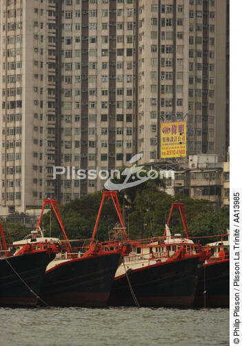 Dans le port d'Aberdeen à Hong Kong. - © Philip Plisson / Plisson La Trinité / AA13985 - Nos reportages photos - Hong Kong