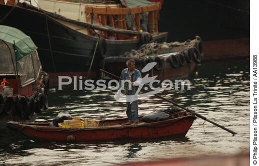 Dans le port d'Aberdeen à Hong Kong. - © Philip Plisson / Plisson La Trinité / AA13988 - Nos reportages photos - Barque
