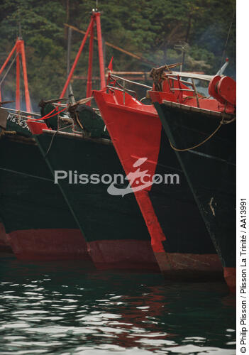 Dans le port d'Aberdeen à Hong Kong. - © Philip Plisson / Plisson La Trinité / AA13991 - Nos reportages photos - Elément d'un bateau