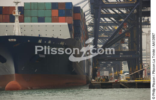 Terminal de porte conteneurs dans le port de Kowloon. - © Philip Plisson / Plisson La Trinité / AA13997 - Nos reportages photos - Le CMA CGM Marco Polo