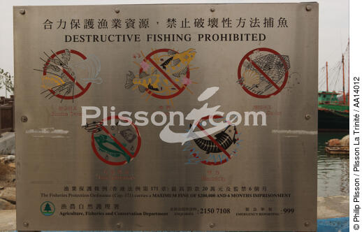 Panel of fishings prohibited in Hong Kong. - © Philip Plisson / Plisson La Trinité / AA14012 - Photo Galleries - Hong Kong, a city of contrasts
