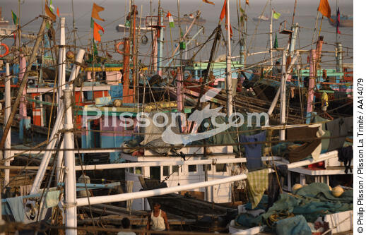 Fishing vessels in the port of Bombay. - © Philip Plisson / Plisson La Trinité / AA14079 - Photo Galleries - India