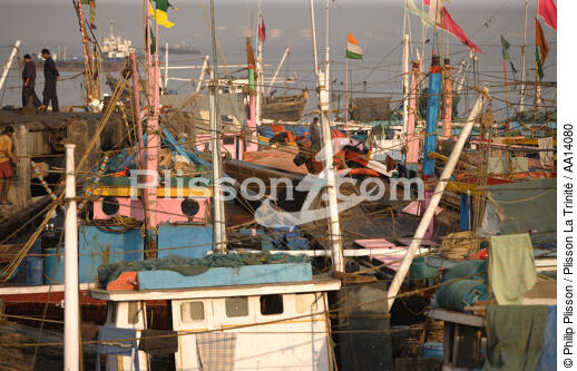 Fishing vessels in the port of Bombay. - © Philip Plisson / Plisson La Trinité / AA14080 - Photo Galleries - India