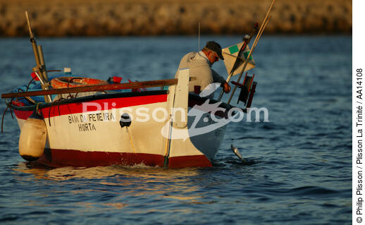 Petite pêche aux Açores. - © Philip Plisson / Plisson La Trinité / AA14108 - Nos reportages photos - Barque