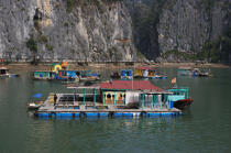 Maison flottante dans la baie d'Ha Long. © Philip Plisson / Plisson La Trinité / AA14135 - Nos reportages photos - La Baie d'Along, Vietnam